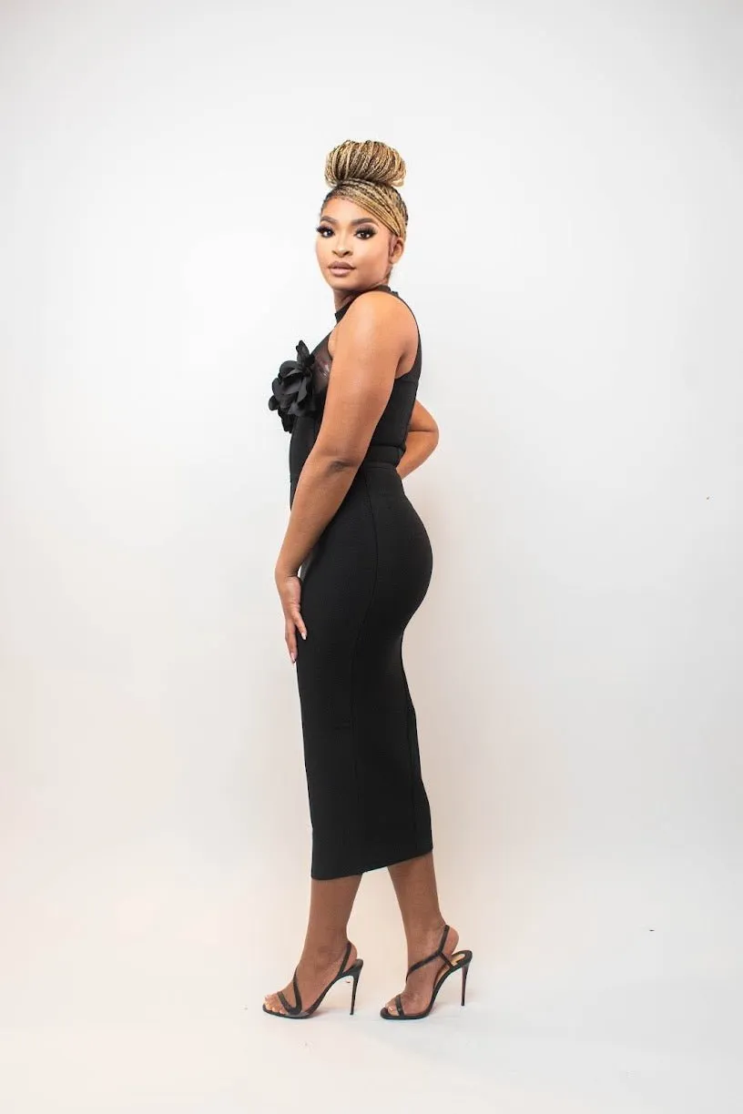 Elegant Floral Detail Mesh Bodycon Dress
