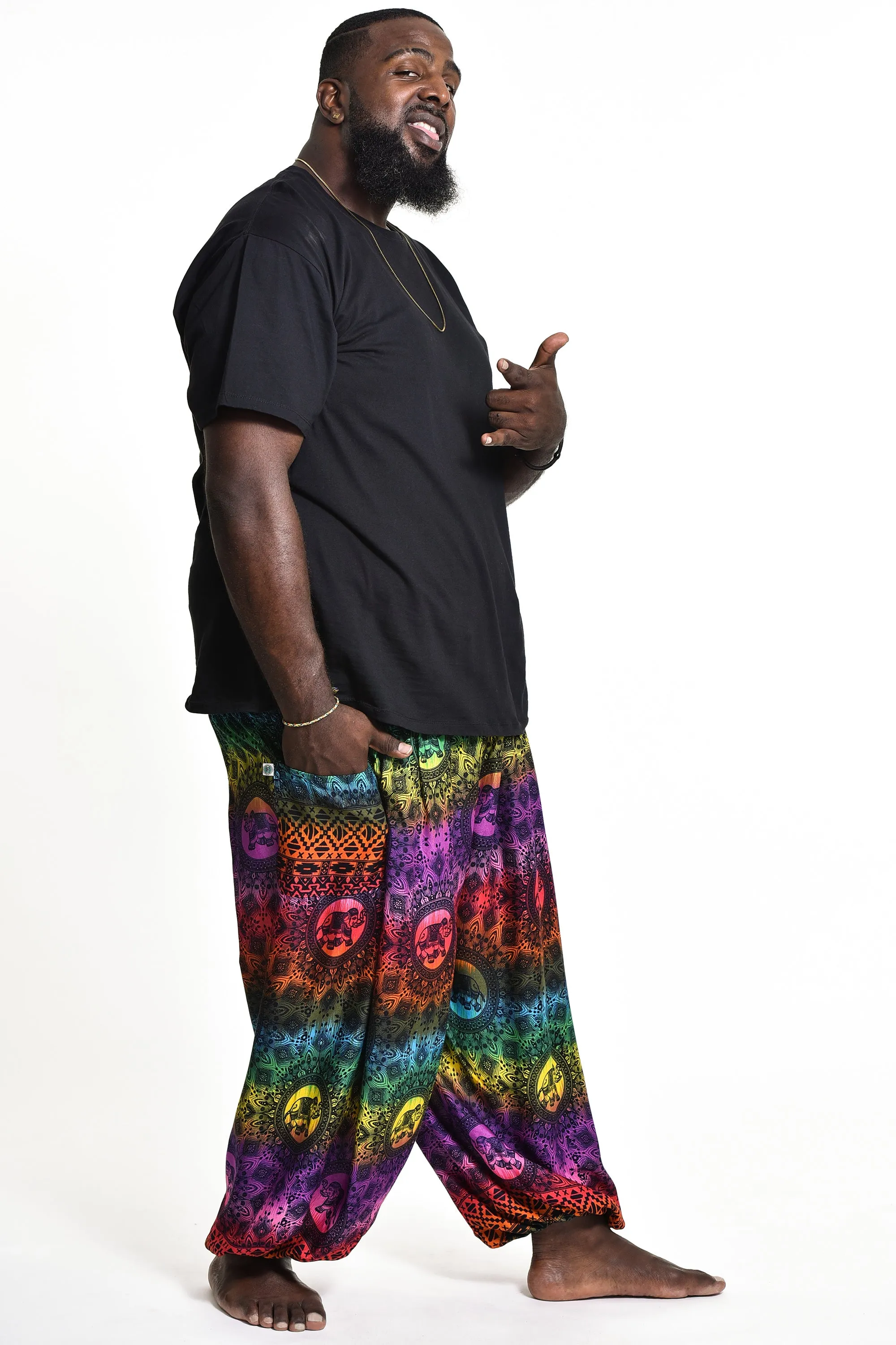 Plus Size Rainbow Elephant Men's Elephant Pants in Purple