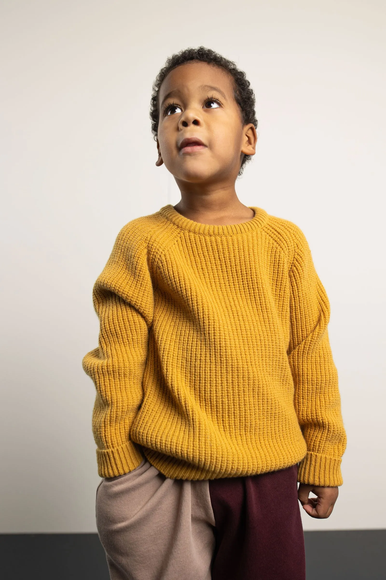 Sweater Knit Dandelion