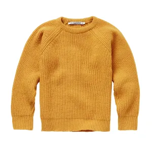 Sweater Knit Dandelion